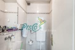 Pisco Real Estate