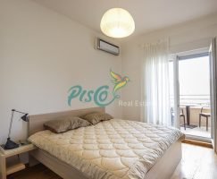 Izdavanje stanova Podgorica