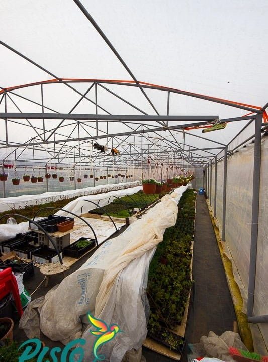 KUĆA DONJA GORICA (4)