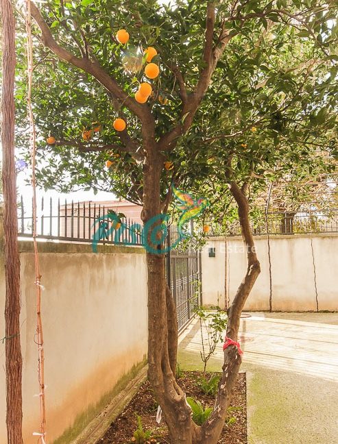 Pisco Real Estate Agencija za nekretnine Podgorica, Crna Groa (7)