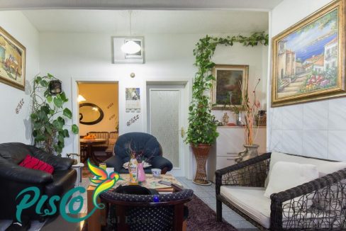 Pisco Real Estate-6