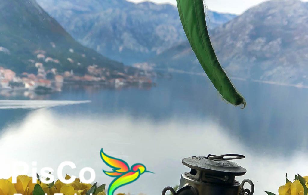 Nekretnine Kotor Crna Gora (14 of 22)