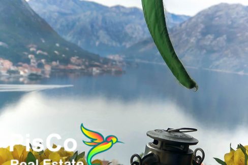 Nekretnine Kotor Crna Gora (14 of 22)
