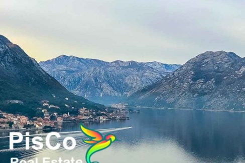 Nekretnine Kotor