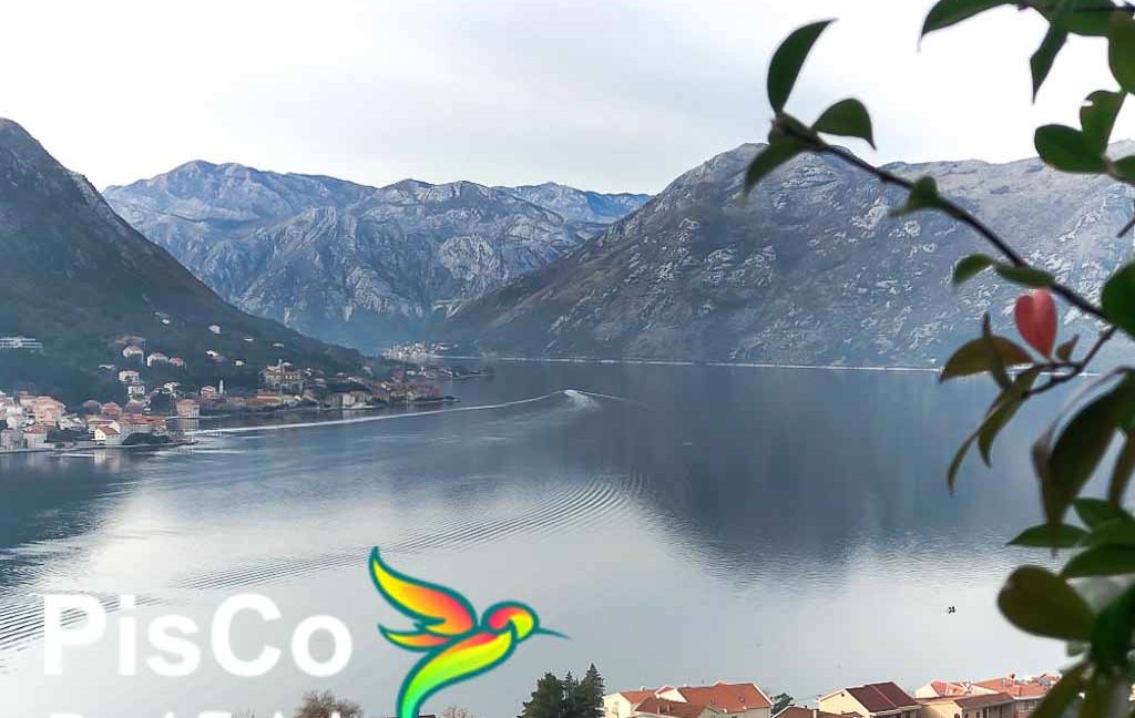 Nekretnine Kotor Crna Gora (18 of 22)