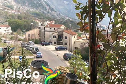 Nekretnine Kotor Crna Gora (2 of 22)