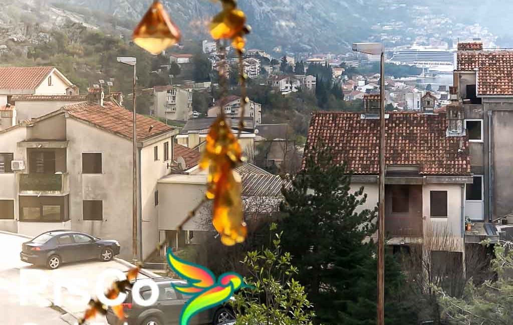 Nekretnine Kotor Crna Gora (3 of 22)