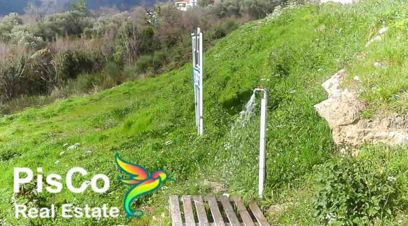 Plot for sale Budva