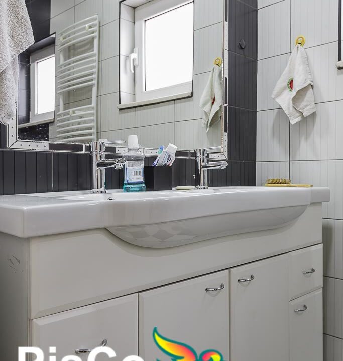 Nekretnine Podgorica Izdavanje Kuca (22 of 25)