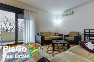 one-room apartment for rent in Podgorica
