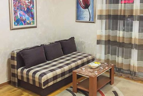 Garsonjera City Kvart - Izdavanje stanova Podgorica (12)-2
