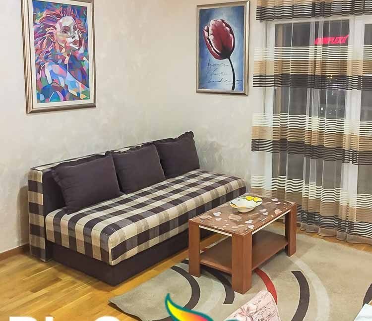 Garsonjera City Kvart - Izdavanje stanova Podgorica (12)-2