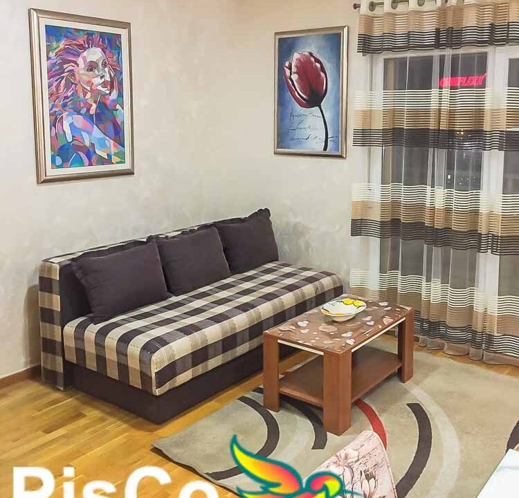 Garsonjera City Kvart - Izdavanje stanova Podgorica (12)-2