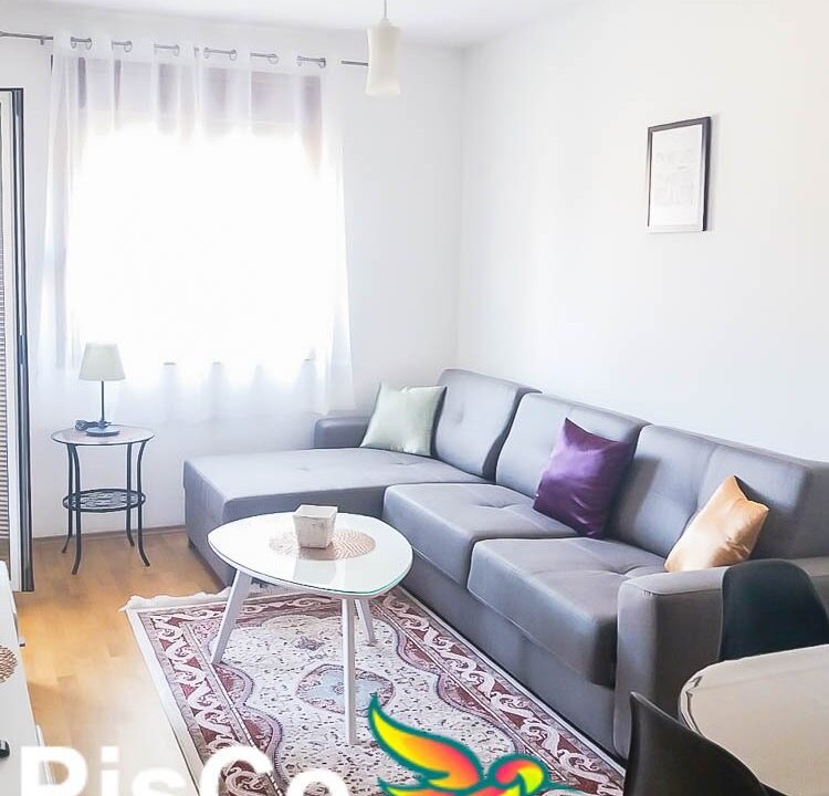 Nekeretnine Podgorica - Izdavanje Stanova (4 of 5)