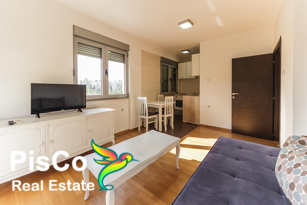 One bedroom apartment for rent in Zabjelo Podgorica