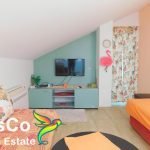 Apartments for rent Podgorica