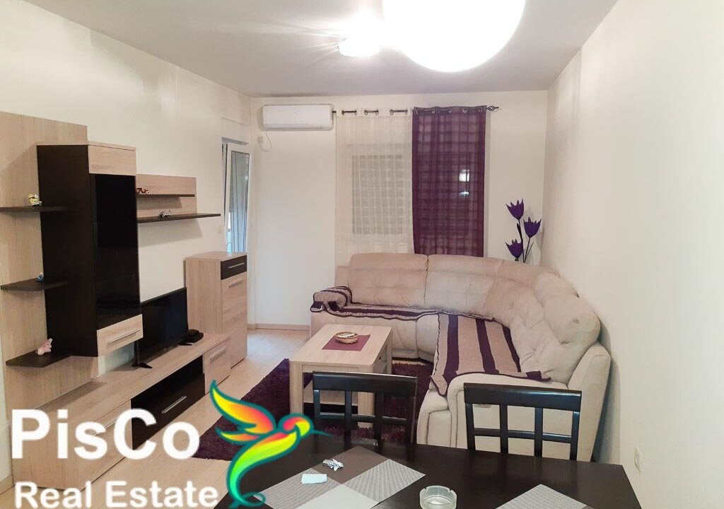 Izdavanje stanova Podgorica (2 of 7)