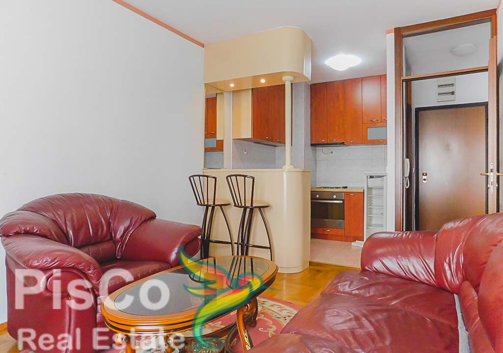 Nekretnine Podgorica - Jednosoban Stan - Izdavanje (1 of 4)