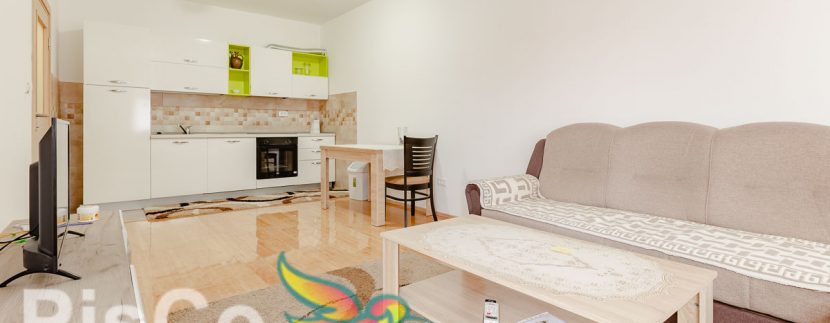 Izdavanje stanova Podgorica - Jednosoban -10