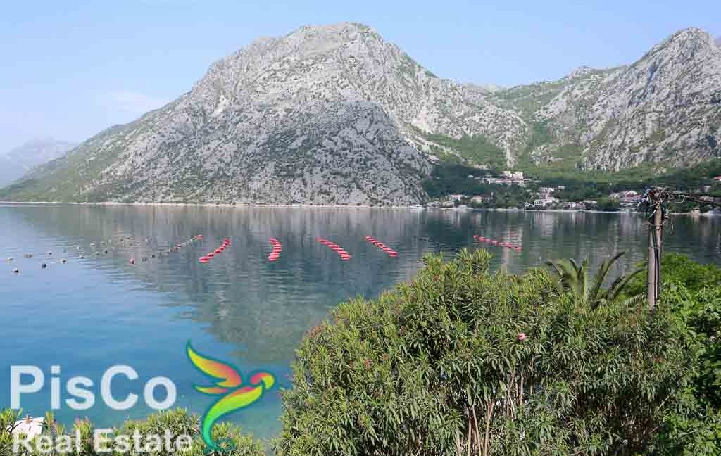 Vila Kotor-3
