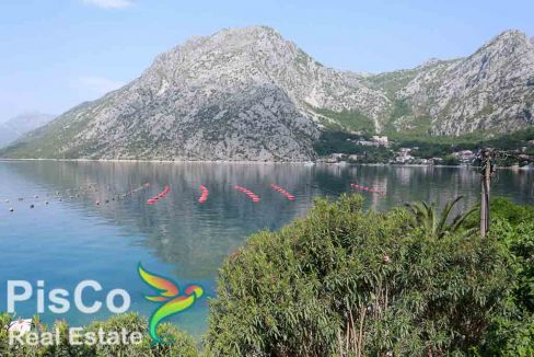 Vila Kotor-3