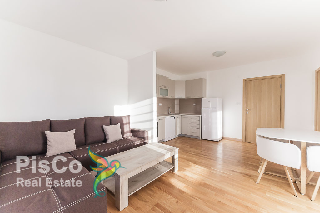 Two bedroom unoccupied apartment for rent in Vaka Đurovića Street 55m2 Podgorica