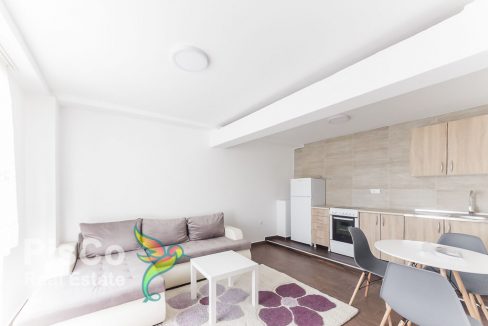 Izdaje se jednosoban stan Preko Morače kod škole Sutjeska 40m2