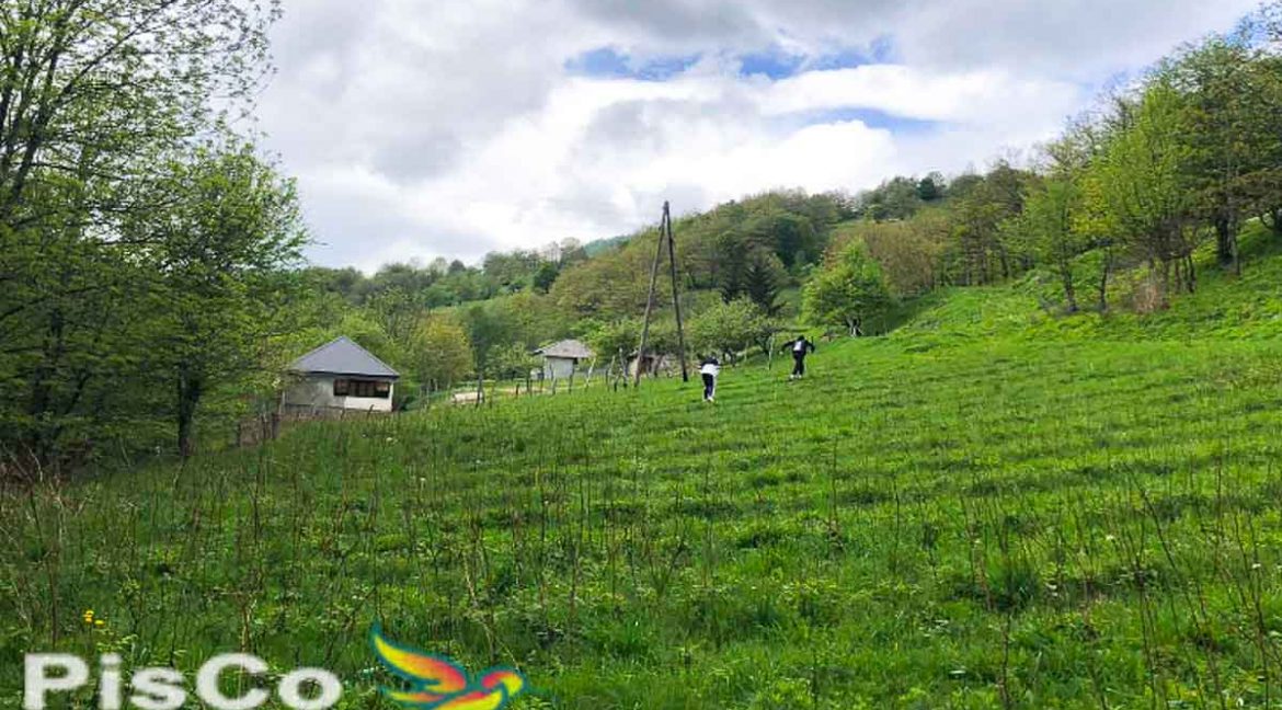 Prodaja Plac Mojkovac (1 of 3)