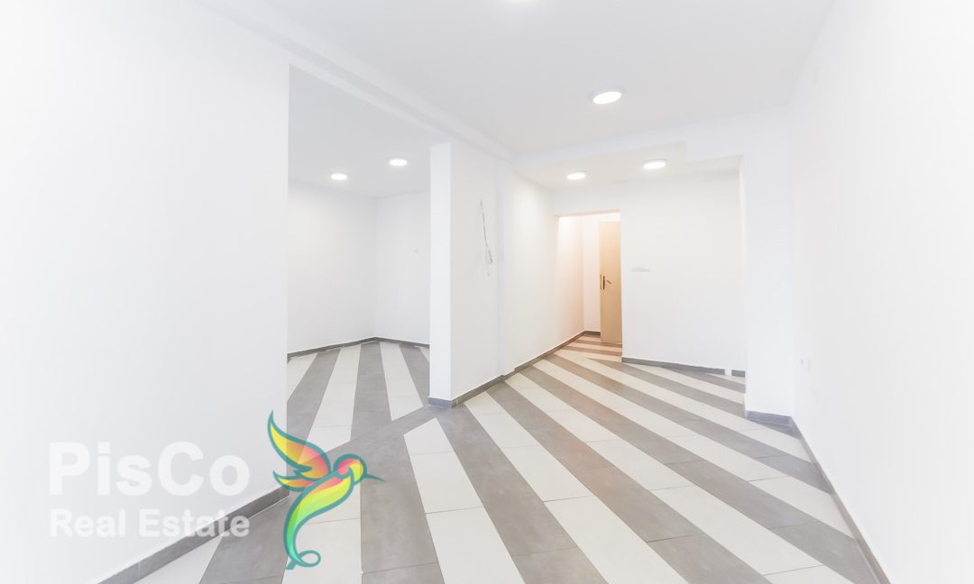 nekretnine crna gora (2 of 4)
