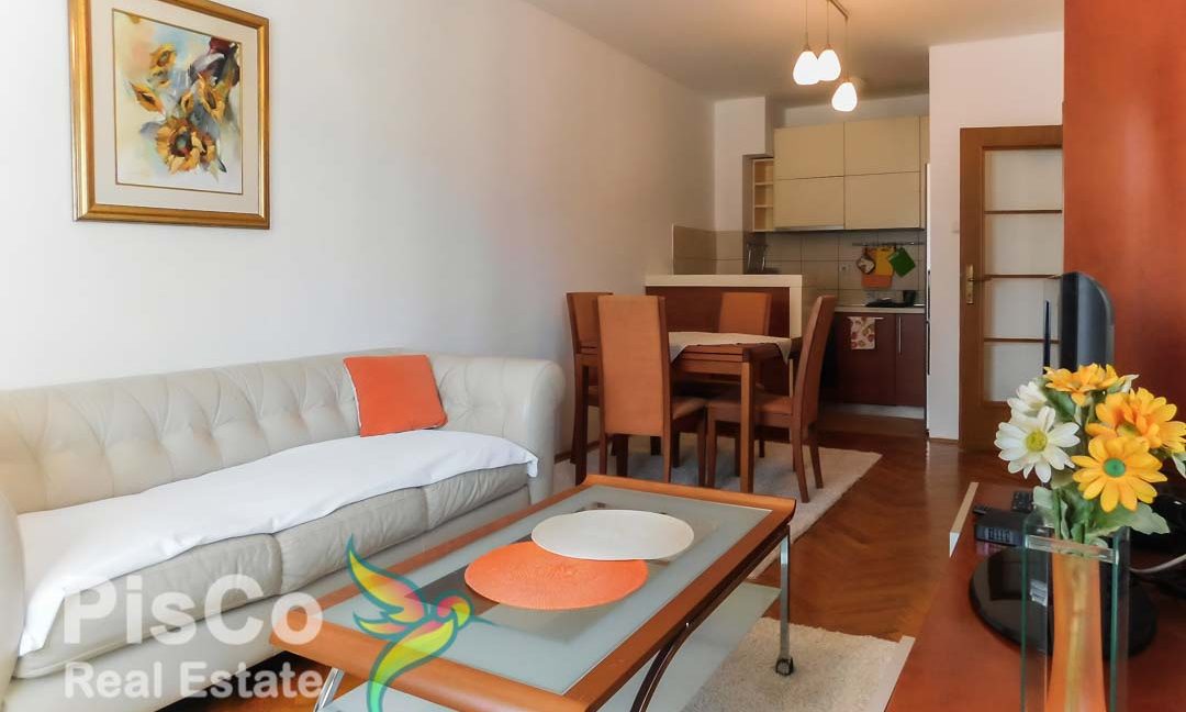 nekretnine crna gora (3 of 14)