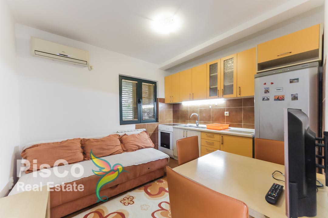 One bedroom apartment for rent behind Delta City Podgorica