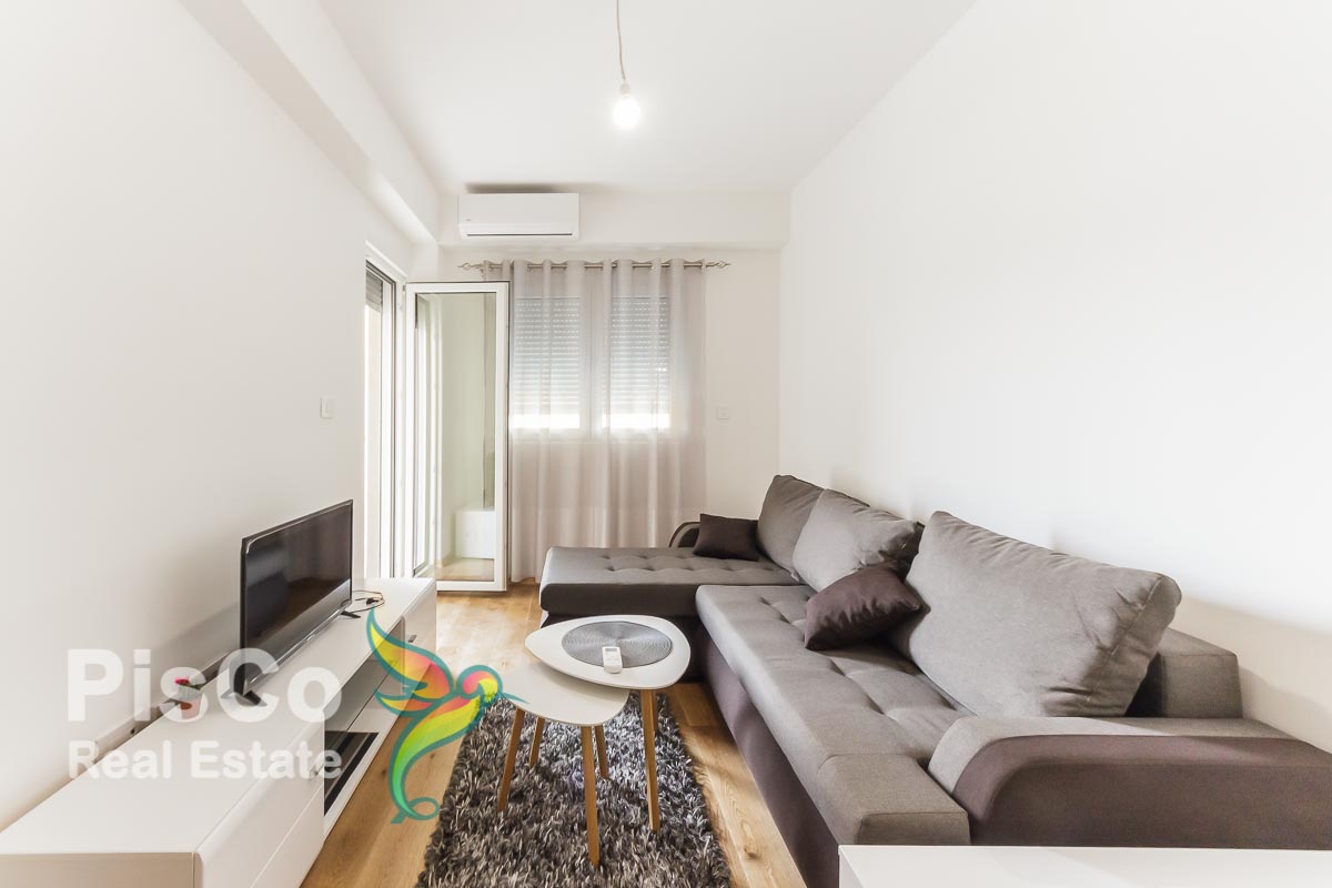 A one-room apartment for rent in the Razvršje building, 40m2 Podgorica