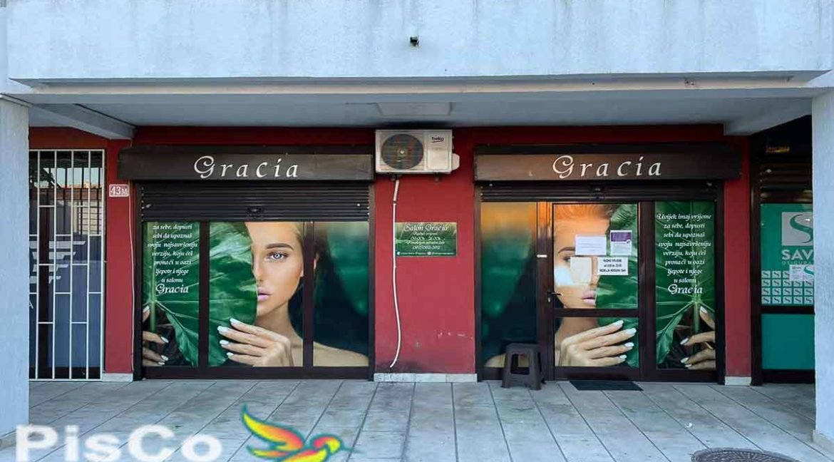Kompletno opremljen kozmeticki salon u Zabjelskoj vektri-2