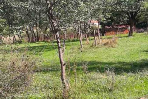 kuca danilovgrad-2
