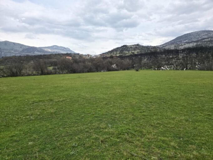 Na prodaju Plac u naselju DJurkovici 2km od Rogama 8000m2