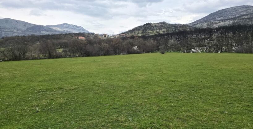 Na prodaju Plac u naselju DJurkovici 2km od Rogama 8000m2