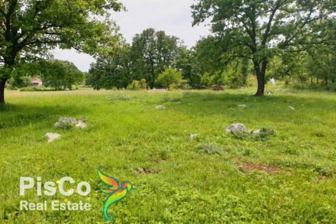 Plac Bijelopavlići_-6