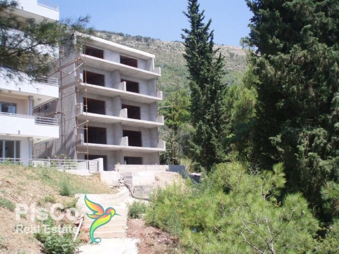Nedovrsena zgrada petrovac 7310101