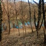 Prodaje se plac 4700m2 na obali rijeke Zete