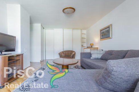 Moderan jednosoban stan za izdavanje Stari Aerodrom (13)