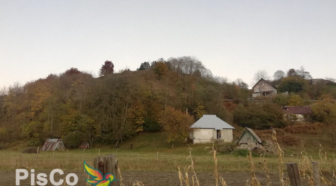 Plac Kolasin-081