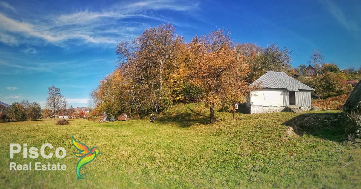 Plac Kolasin-485