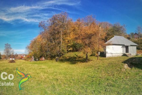 Plac Kolasin-485