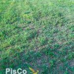 Prodaje se plac u Danilovgradu