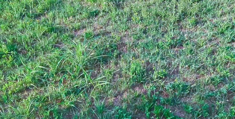 Prodaje se plac u Danilovgradu