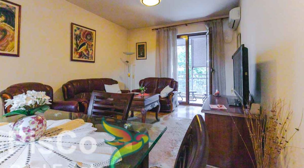 Izdavanje Stanova Podgorica - Dvosoban preko Morače (8)