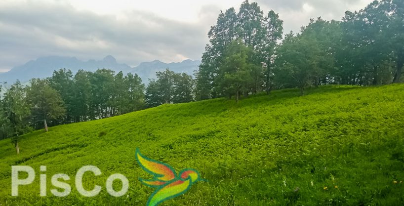 Odlična ponuda za investitore | Imanje 0,80€/m2 | Prodaja placeva Kolašin