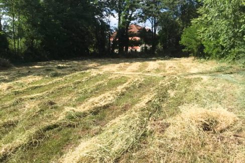 Plac Mojanovici (1 of 4)