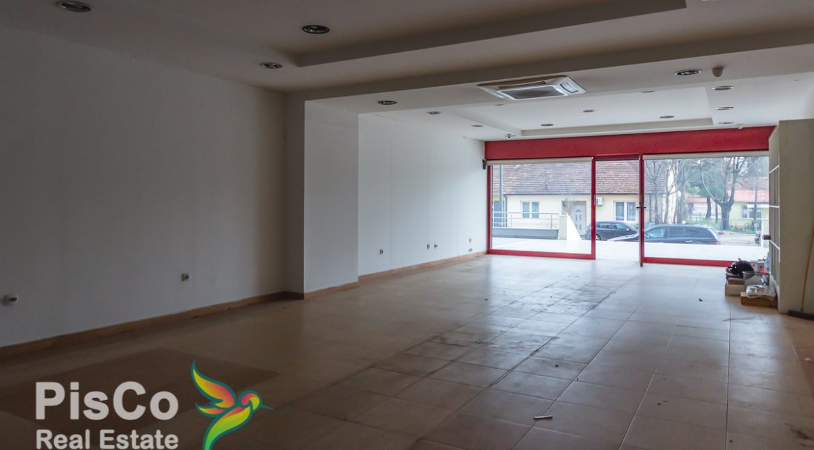 Poslovni 80m2 Ljuba Zeca (5 of 6)