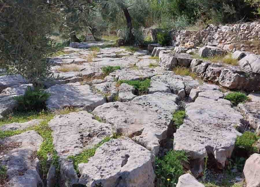 Stari Sicilija (1 of 3)
